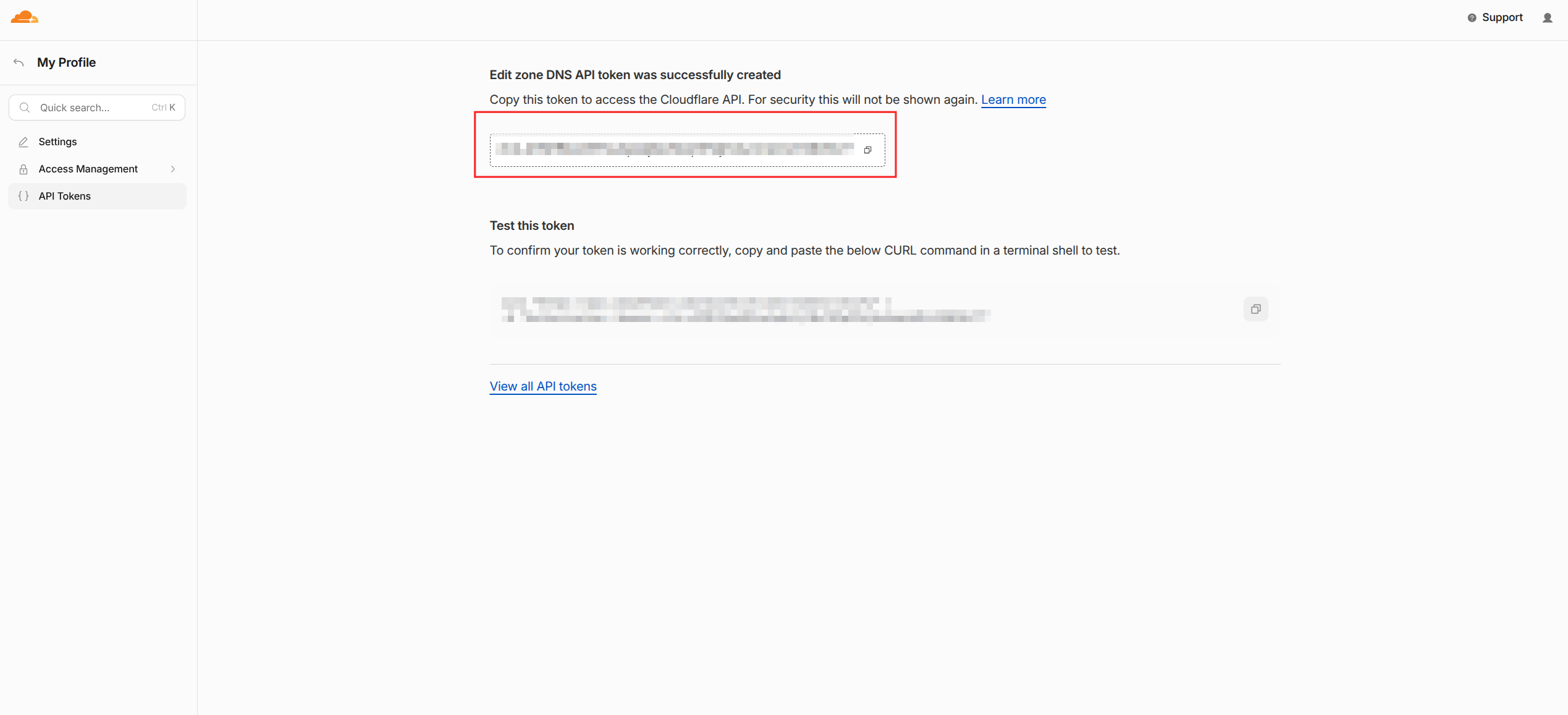 Copy the API token